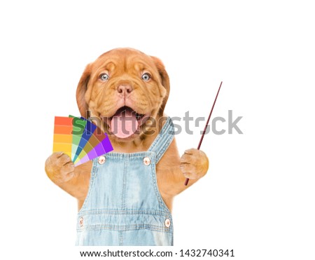 Funny puppy with color samples pointing away on empty space. isolated on white background