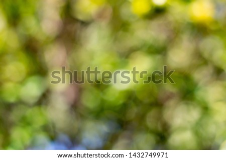 green and yellow Natural bokeh abstract pattern background.