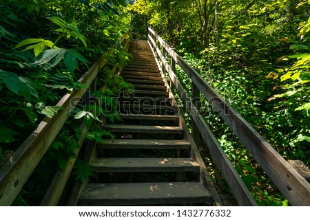 wooden stairs in the springtime at starved rock state park, Illinois.