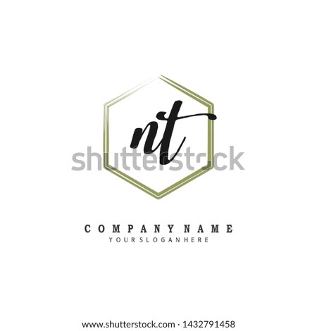 initials letter NT handwriting logo vector template