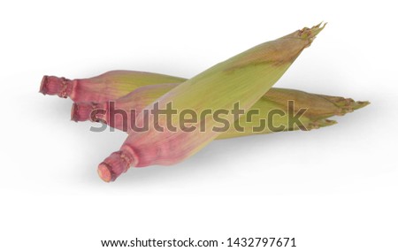 red corn isolated onn white