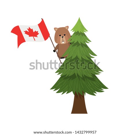 Beaver forest animal of canada design
