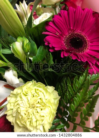 Magenta Color Flower in a Bouquet