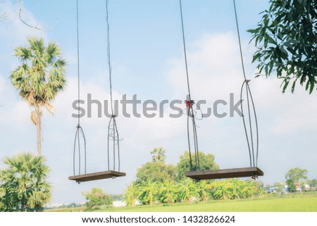 Swing on tree in countryside with the sky background.