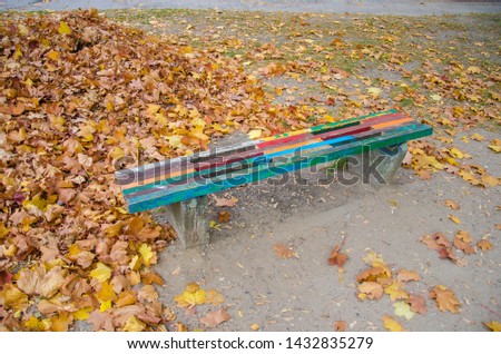 Autumn colorful street bench, bench. Bench near the street on a sunny autumn day. Fall has come.