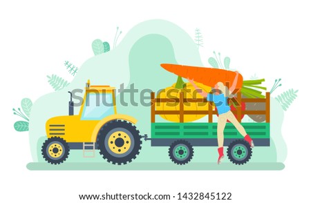 Car loaded with vegetable vector, character filling tractor with gathered products. Harvesting season, transportation of food. Farmer and machine