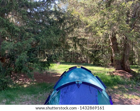 Camping site at the forest in France