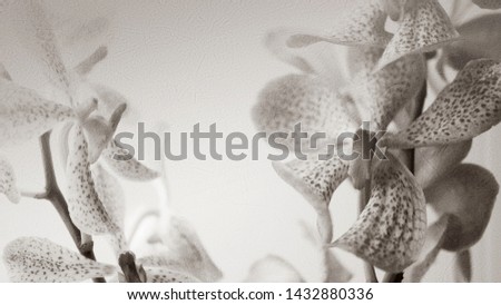 sweet orchids on mulberry paper texture for classic style, romantic, floral concept background