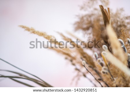 Beautiful and fashionable interior element. Reeds in a vintage vase.