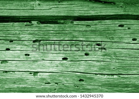 Wooden wall texture in green color. Abstract background and texture for design.