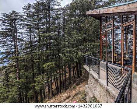 Cottage in dark forest , Hill station in Himachala pradesh