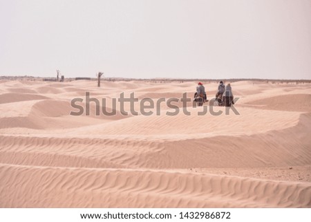 group of tourists ride the camel safari. Camel caravan going through the sand dunes in the Sahara Desert.