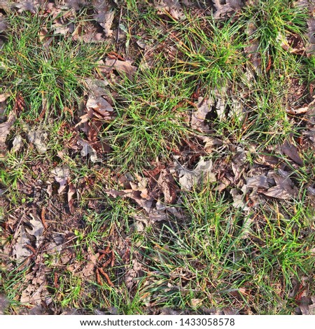 Photo realistic seemless texture pattern of green grass