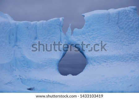 Sculptured iceberg found in the antarctic waters