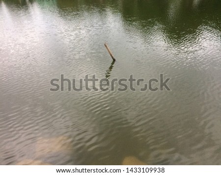 Metal pole in the middle of the river.