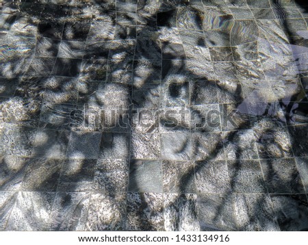 shadow tree on water with grey tile