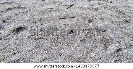 White sand beach for background