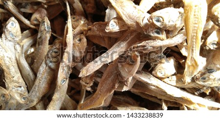 Salted fish,Dried fish on the grill background.