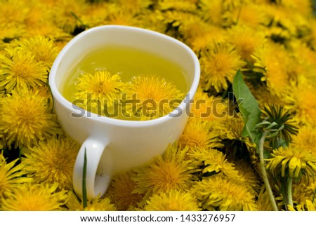 Dandelion flower tea infusion in white cup close up. Herbal beverage, yellow flowers and leaves tisane