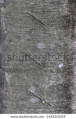 wood surface texture as background