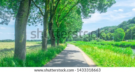 Dutch meadow panoramic landscape. Cobblestone road going through the pastures or green juice grass. Beautiful trees standing next to road in the Netherlands. Remembering the Europe travel