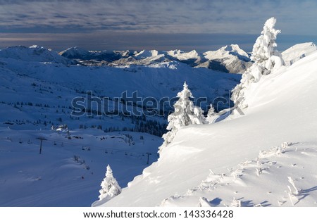 Beautiful fresh powder landscape with pine trees in Les Portes du Soleil in the European Alps