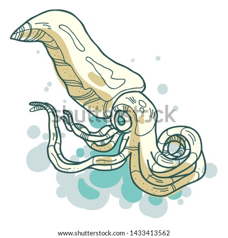 Vector isolated seafood squid cartoon on white background. Illustration for food packaging, market label, underwater design