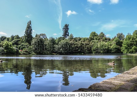 View of the lake with blue sky in hamilton garden in new zealand.