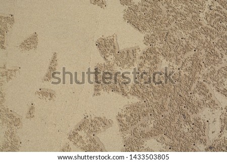 traces of crabs on yellow sand. A background about rest and travel