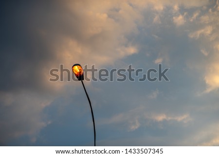 Streetlight against the background of the evening sky. Yellow electric lights