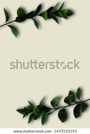 Green leaves isolated on white copyspace background. Foliage branches on the top and bottom with free space for text. Vertical design sample for invitation, banner, label, web design.