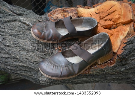 Brown women's sandals, women's shoes located on the trunk of a tree from which the branch broke off.