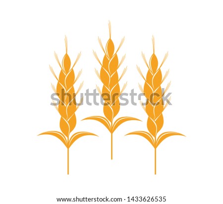 Agriculture wheat Logo. wheat Logo Template vector icon design. Template vector icon design