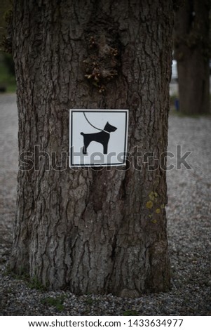 Sign on a tree making the leash on the dog mandatory.