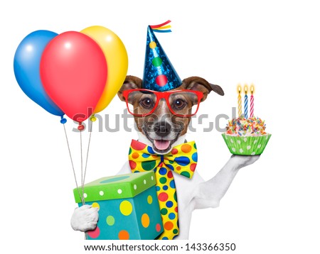 birthday dog with balloons and a cupcake