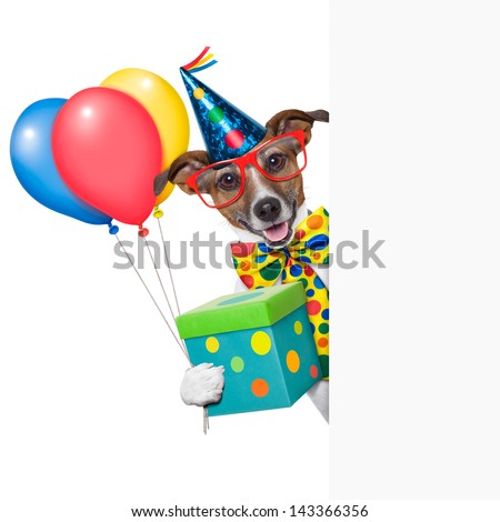 birthday dog with balloons behind a white placard