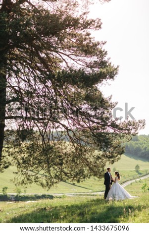 Beautiful brides are standing under a tree in the summer