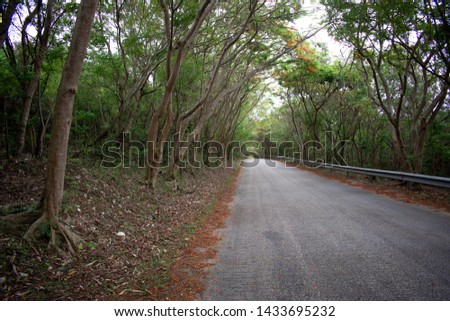highway road to polo barahona in dominican republic