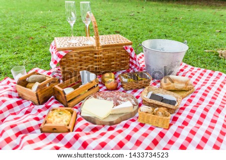 Great concept of pic-nic, pic-nic with fruits and juice on green lawn with beautiful view