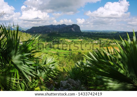 Cuban tropical landscape with palm trees and mountains