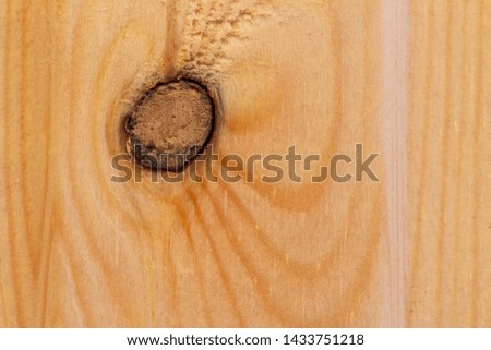 macro closeup of tree stump with knot.  plank, with wood knots and cracked, layered rough surface, separated by annual growth lines