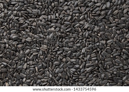 Black sunflower seeds. Black sunflower seeds for texture or background. Black sunflower seeds macro close up