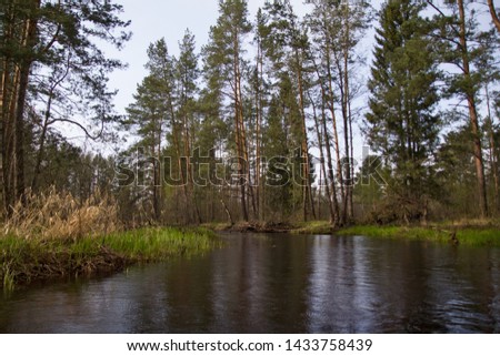 Trip on the tranquil river surrounded forest