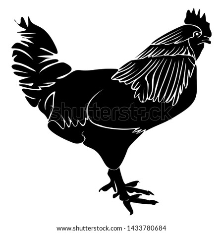 vector image of beautiful hairy chicken Royalty-Free Stock Photo #1433780684