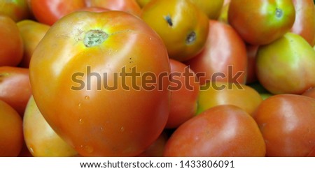 Fresh tomato in the vegetable market