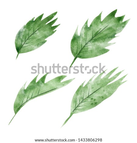 Watercolor tropical leaves.Exotic leaves.Hand painting on paper
