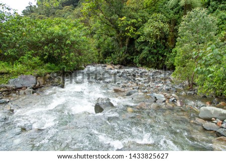 A river in the Colombian Jungle 