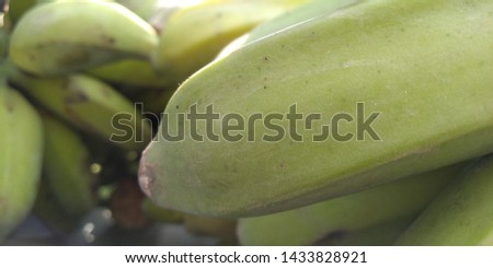 Green banana in the market