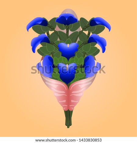 Flowers bouquet on a colored background - Vector