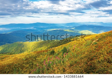 overcast weather in mountains in the morning. weathered grass on the slopes and hills. mountain range in the far distance. beautiful landscape in august.